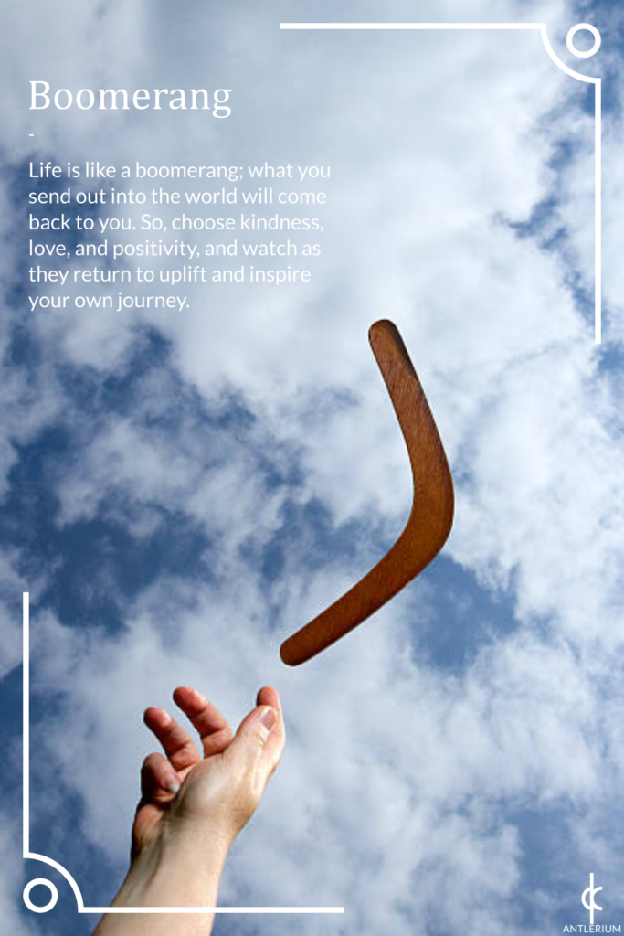 Inspirational everyday objects - boomerang. Life is like a boomerang; what you send out into the world will come back to you. So, choose kindness, love, and positivity, and watch as they return to uplift and inspire your own journey.