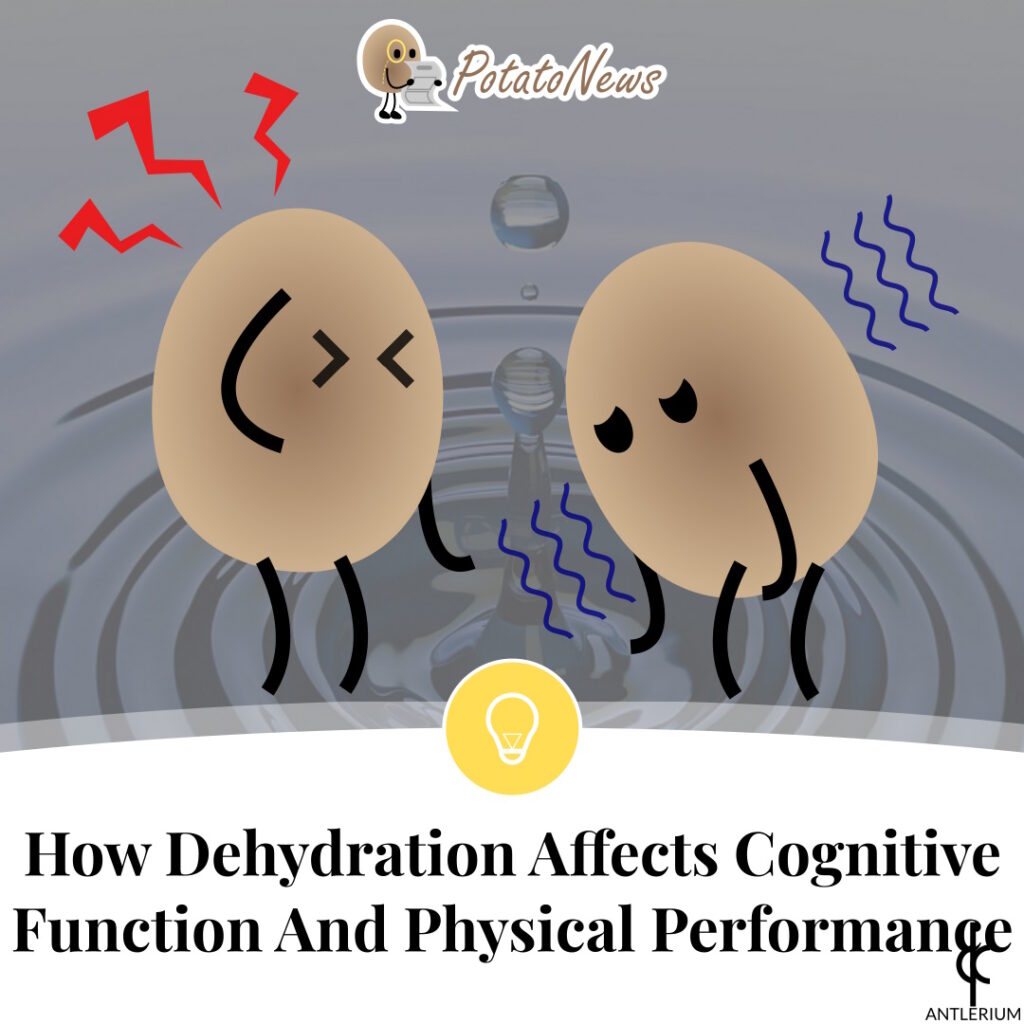 How Dehydration Affects Cognitive Function And Physical Performance | Antlerium PotatoNews