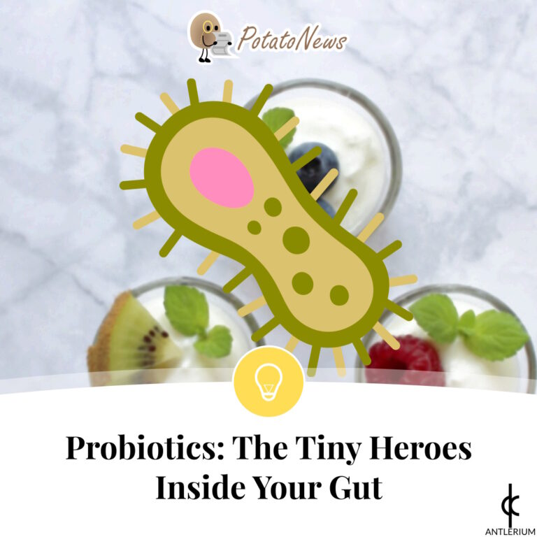 Probiotics: The Tiny Heroes Inside Your Gut | Antlerium PotatoNews