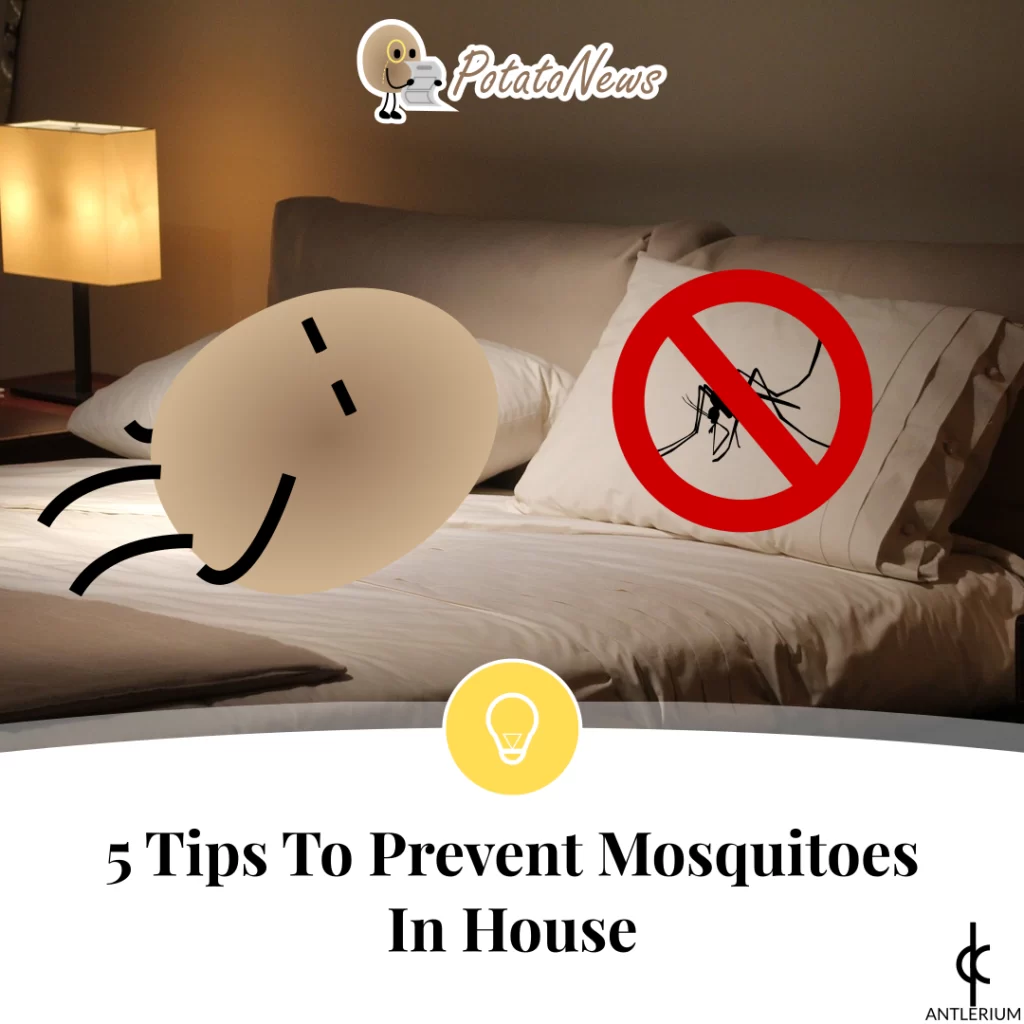 5 Tips To Prevent Mosquitoes In House